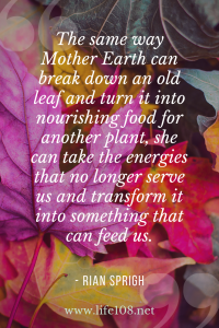 The same way she can break down an old leaf and turn it into nourishing food for another plant, she can take the energies that no longer serve us and transform it into something that can feed us.