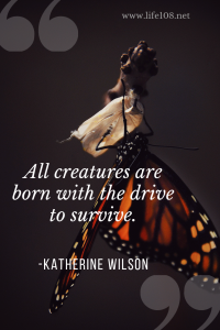 All creatures are born with the drive to survive.