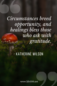 Circumstances breed opportunity, and healings bless those who ask with gratitude.