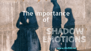 The importance of Shadow Emotions