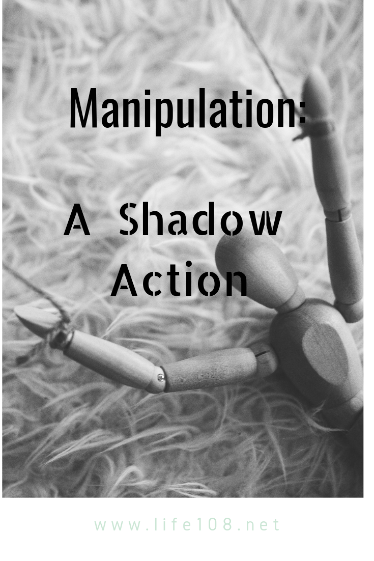 Manipulation: A Shadow Action